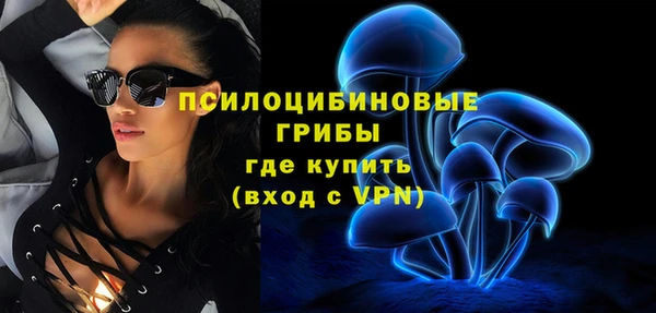 ГАЛЛЮЦИНОГЕННЫЕ ГРИБЫ Лиски
