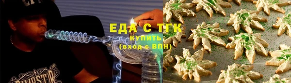 молекула духа Пестово