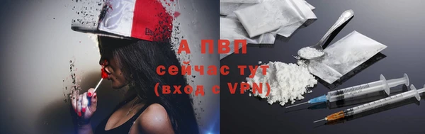 ГАЛЛЮЦИНОГЕННЫЕ ГРИБЫ Лиски