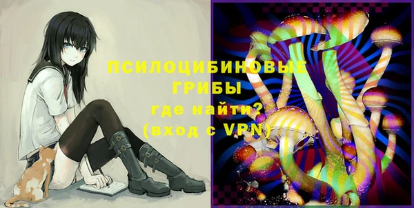 ГАЛЛЮЦИНОГЕННЫЕ ГРИБЫ Лиски