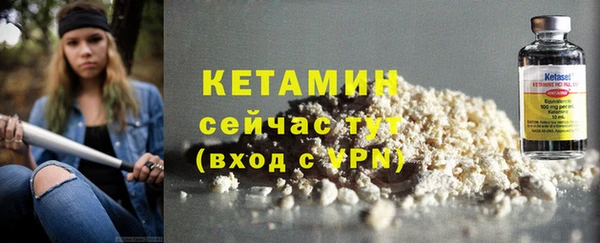 сатива Бердск