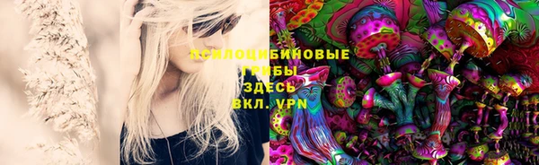 ГАЛЛЮЦИНОГЕННЫЕ ГРИБЫ Лиски