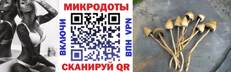 OMG рабочий сайт  Сухиничи  Галлюциногенные грибы Psilocybe 