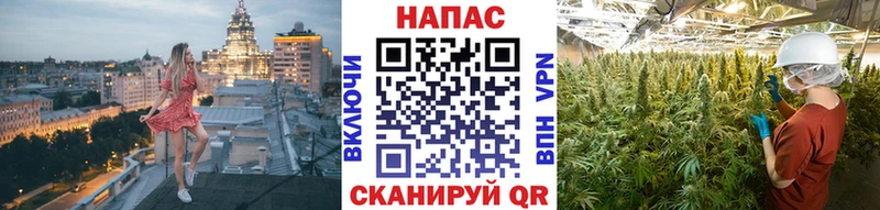наркота  Сухиничи  Каннабис Amnesia 